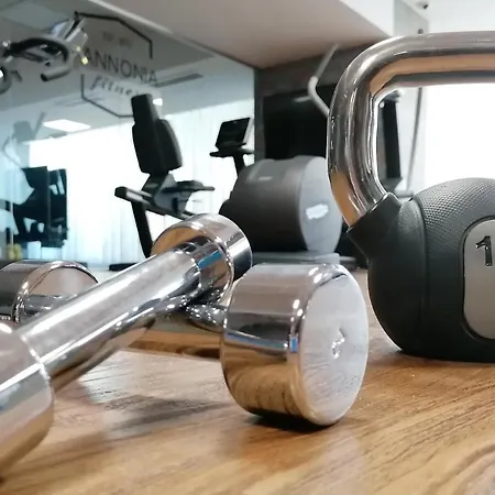 Pannonia ショプロン