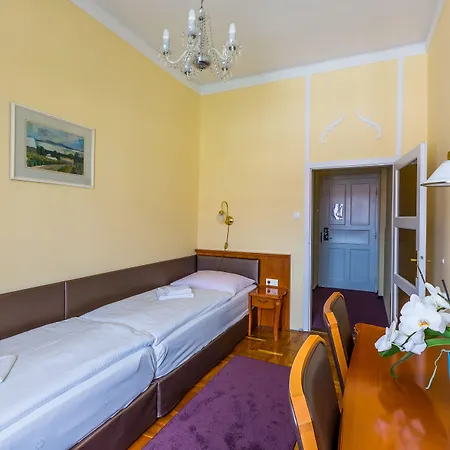 Pannonia 4* Ödenburg