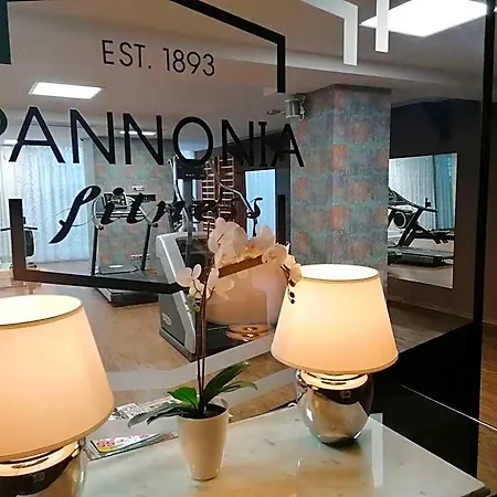 Pannonia Hotel 4*