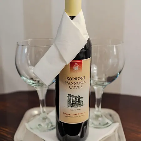 Hotel Pannonia Sopron